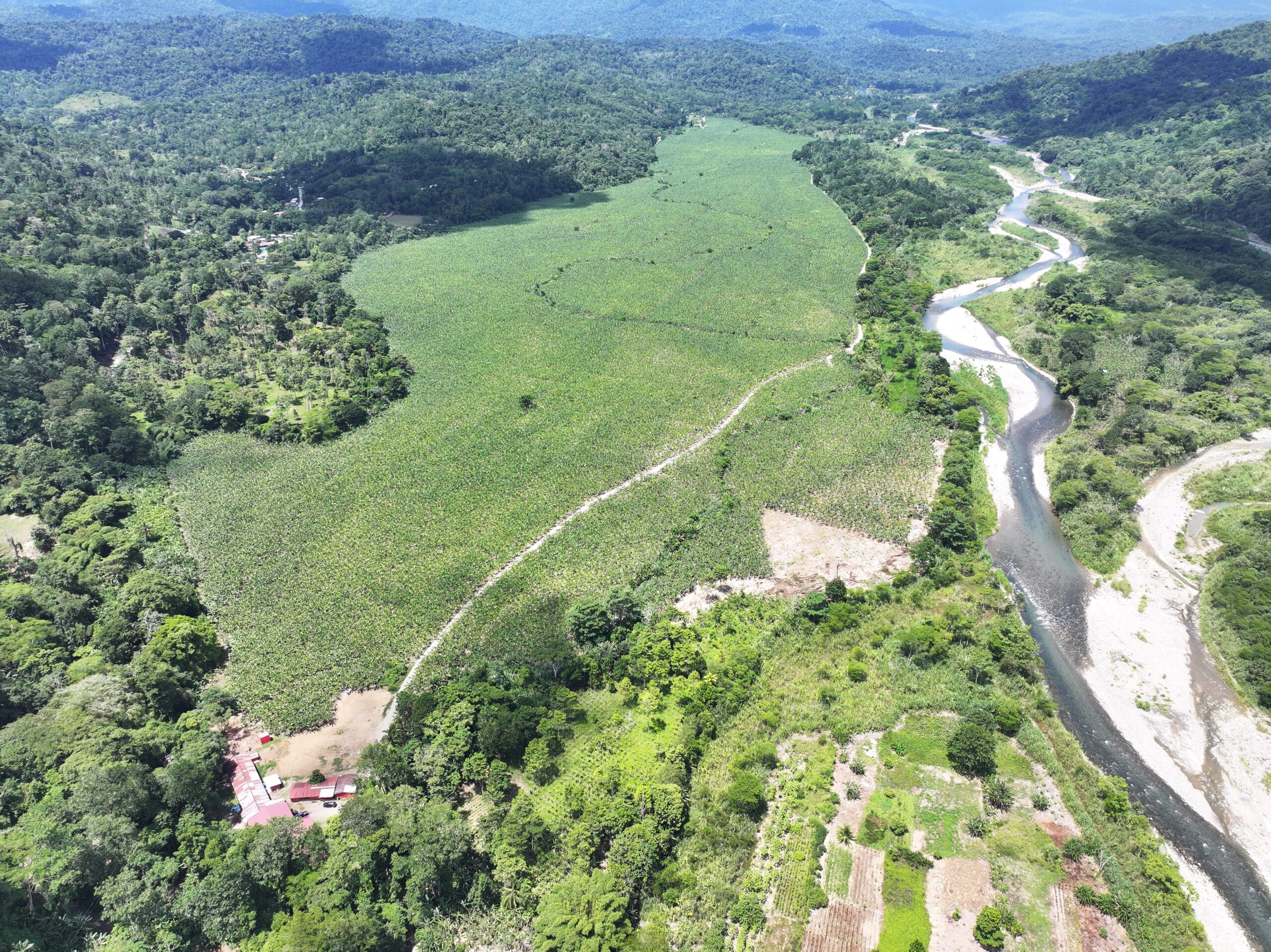 Finca Esfuerzo 3 en valle del Caribe costarricense