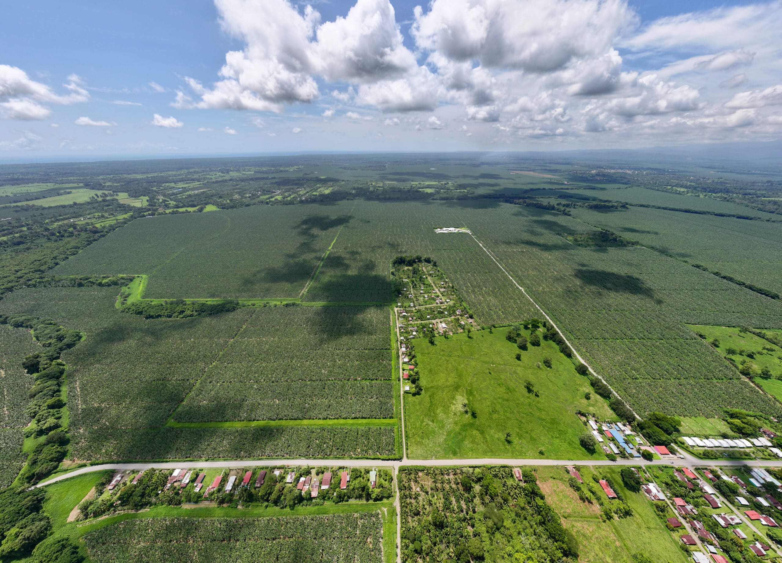 Finca Esfuerzo 2 de Grupo Esfuerzo