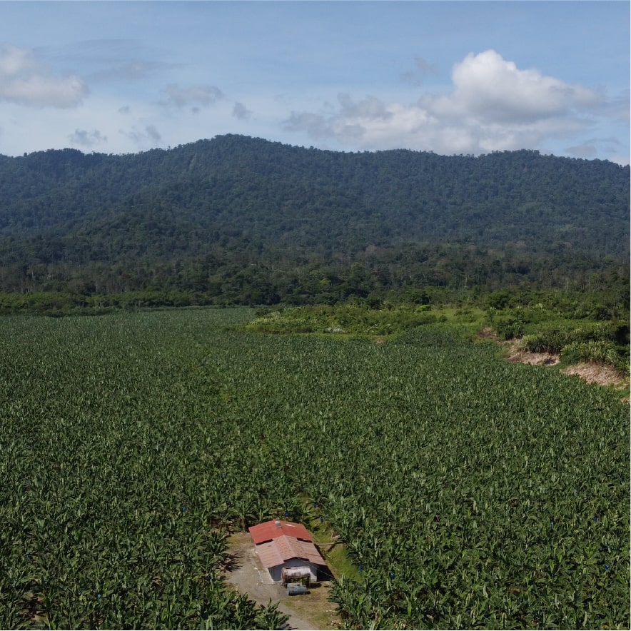 Finca Bristol de Grupo Esfuerzo