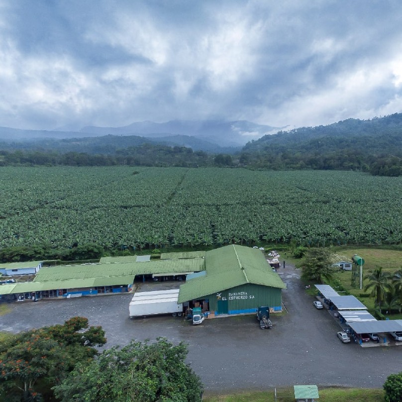 Finca Esfuerzo 1 en Matina