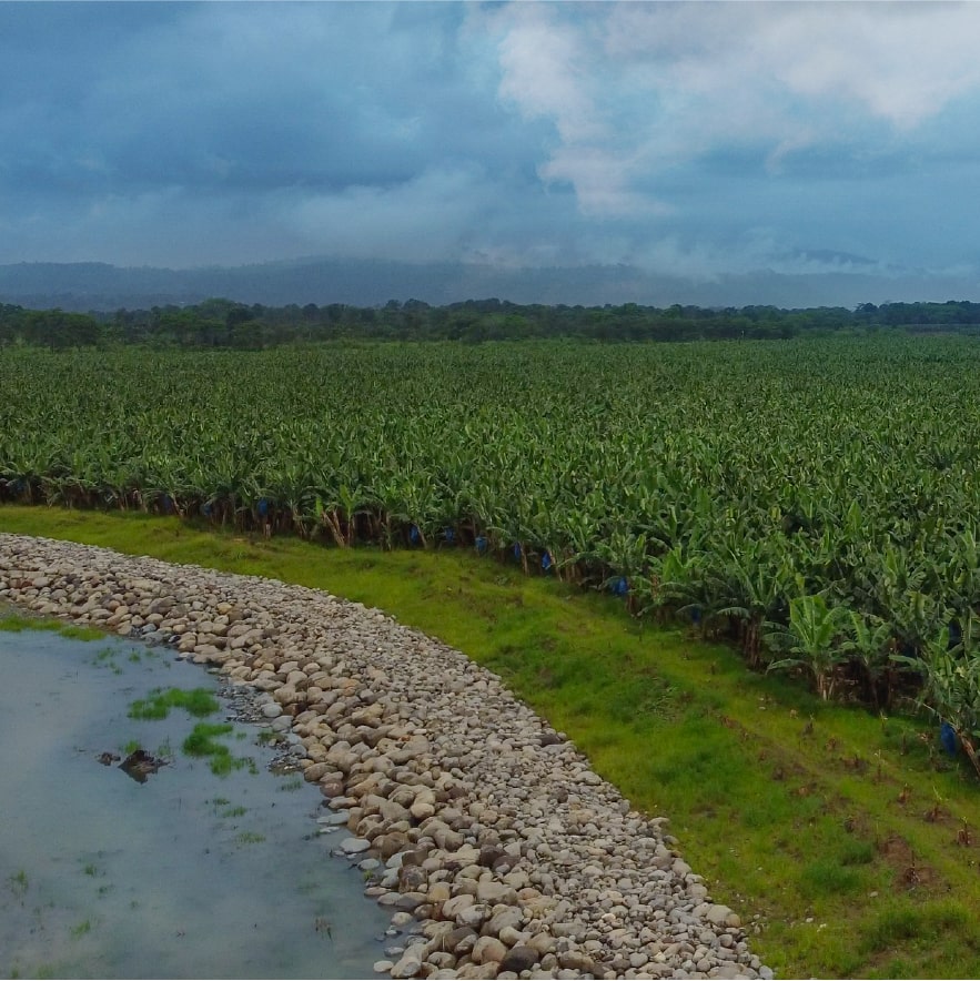 Finca Vesta en el Caribe costarricense