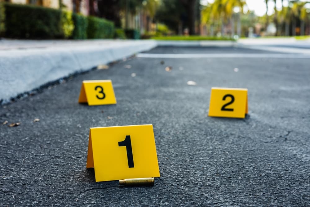 Evidence in Hit and Run Accident
